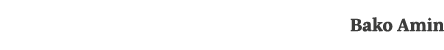 Bako Amin
