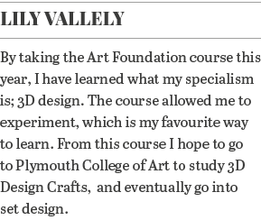 Lily Vallely By taking the Art Foundation course this year, I have learned what my specialism is; 3D design  The cour   