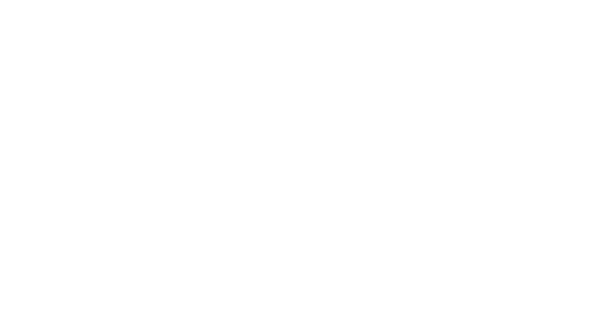 Festival Staff and Volunteers The Community Programme is part of the bigger Festival team, and we would like to thank   