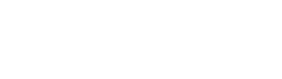 There was a boy in a dark forest looking for his dog  The wind waved the branches back and forth as if they were cele   