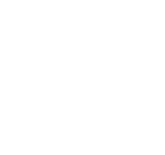 The World