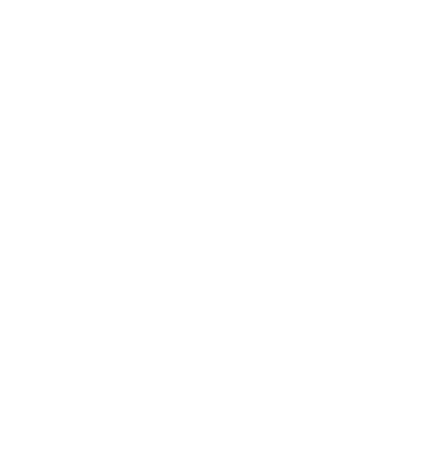 My name is Alfie and I m a twelve-year-old boy, I am going to tell you a story on how I became a toy  One night I wen   