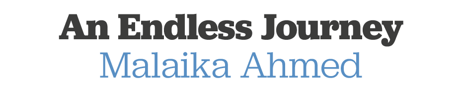 An Endless Journey Malaika Ahmed