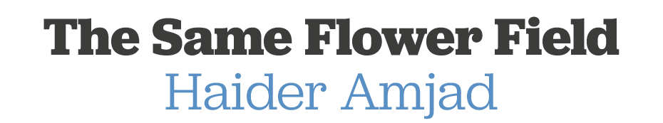 The Same Flower Field Haider Amjad