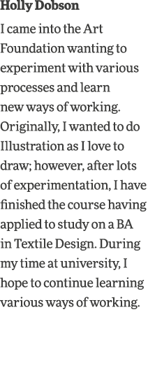 Holly Dobson I came into the Art Foundation wanting to experiment with various processes and learn new ways of workin   