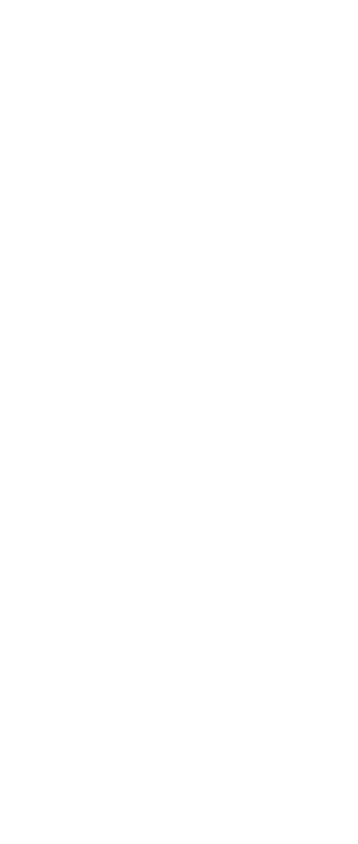 Leanne Moden: Workshop Facilitator This is the first year we have worked with Leanne and she ran all our school works   